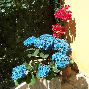 Le Divine Levanto
